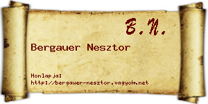 Bergauer Nesztor névjegykártya